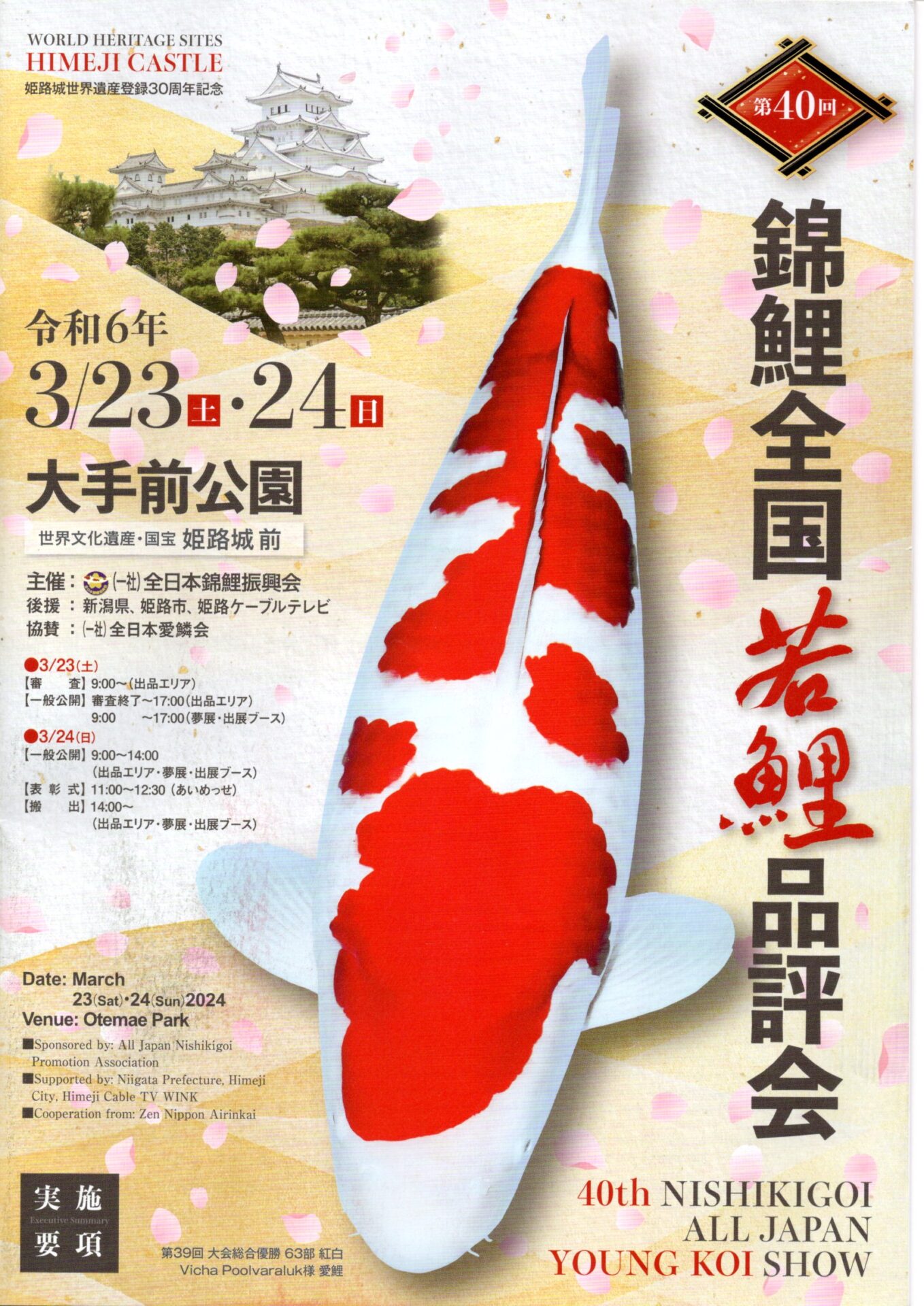 ◆革命鯉◆　№１【金太郎コレクション！！】　坂牧養鯉場　２歳　　生産証明書付　生産者直送  坂牧養鯉場 ⁄ 錦鯉通販販売仙助