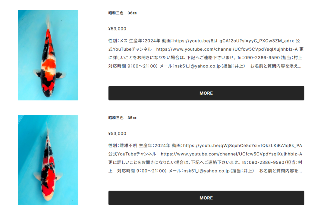 ネット販売開始致しました！